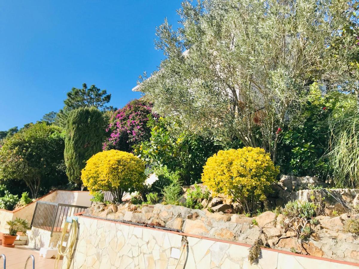 Mediterranean Villa Investingspain Sea View And Pool Lloret de Mar Exterior photo